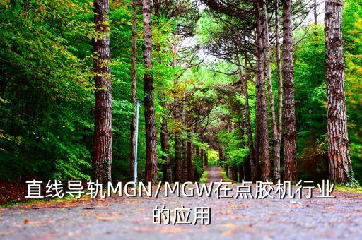 直線導(dǎo)軌MGN/MGW在點膠機(jī)行業(yè)的應(yīng)用