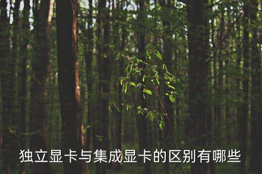 獨(dú)立顯卡和集成顯卡的區(qū)別，獨(dú)立顯卡與集成顯卡的差異在哪