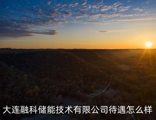 大連融科儲能技術(shù)有限公司待遇怎么樣