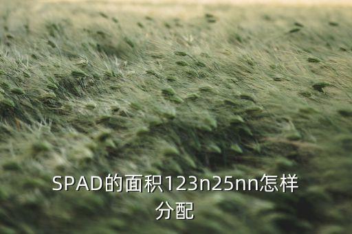 SPAD的面積123n25nn怎樣分配