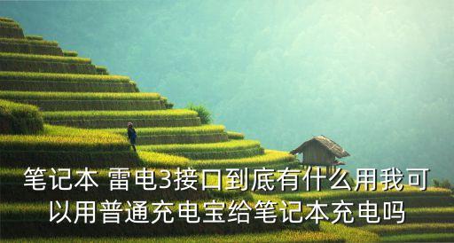 筆記本 雷電3接口到底有什么用我可以用普通充電寶給筆記本充電嗎