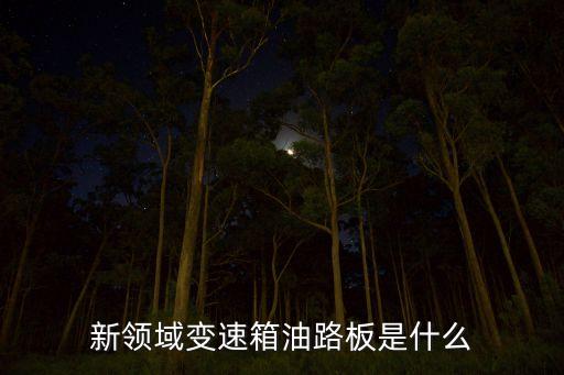 油路板，閥體和油路板是一回是嗎