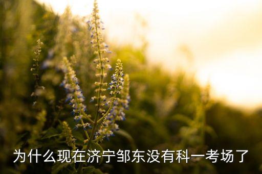為什么現(xiàn)在濟寧鄒東沒有科一考場了