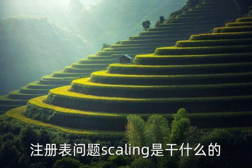 注冊表問題scaling是干什么的