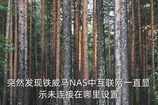 突然發(fā)現(xiàn)鐵威馬NAS中互聯(lián)網(wǎng)一直顯示未連接在哪里設(shè)置