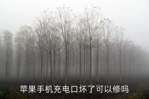iphone 數(shù)據(jù)接口 更換,p20更換數(shù)據(jù)接口視頻