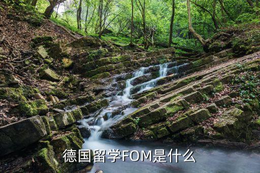 德國(guó)留學(xué)FOM是什么