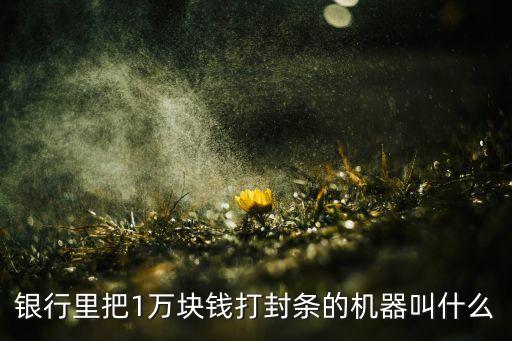 銀行里把1萬(wàn)塊錢打封條的機(jī)器叫什么