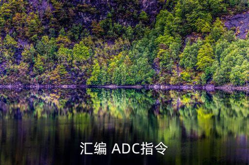 匯編 ADC指令