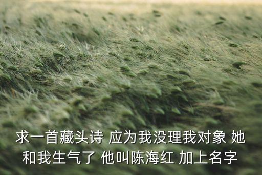 求一首藏頭詩 應(yīng)為我沒理我對(duì)象 她和我生氣了 他叫陳海紅 加上名字