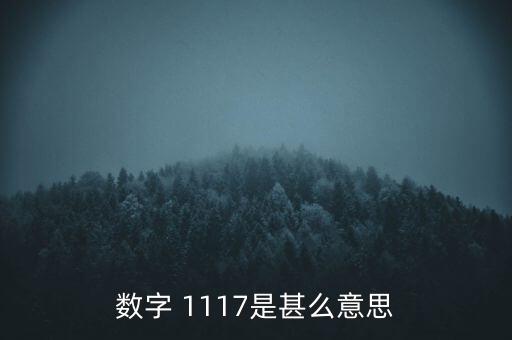 數(shù)字 1117是甚么意思