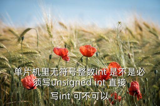 單片機(jī)里無符號(hào)整數(shù)int 是不是必須寫unsigned int 直接寫int 可不可以