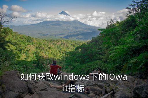 如何獲取windows下的IOwait指標(biāo)