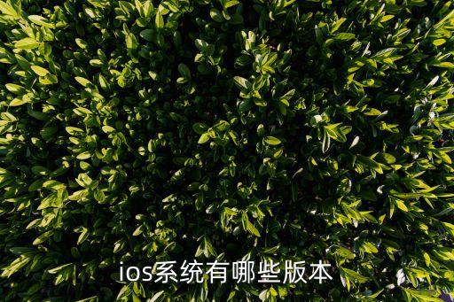 ios系統(tǒng)有哪些版本