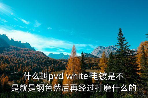 什么叫pvd white 電鍍是不是就是鋼色然后再經(jīng)過打磨什么的