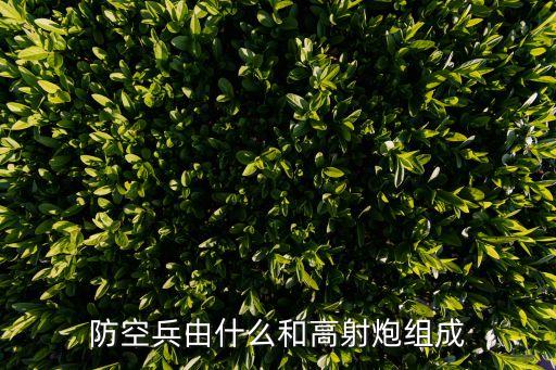 防空兵，防空兵由什么和高射炮組成