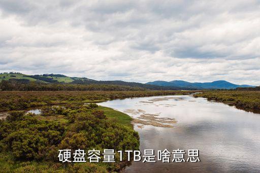 硬盤容量1TB是啥意思