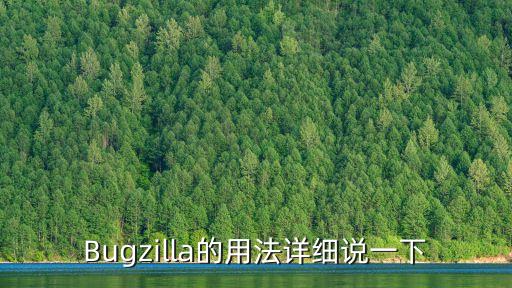 bugzilla，Bugzilla的用法詳細說一下