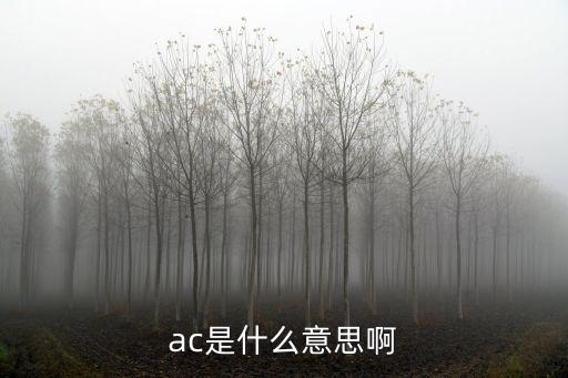 ac是什么意思啊