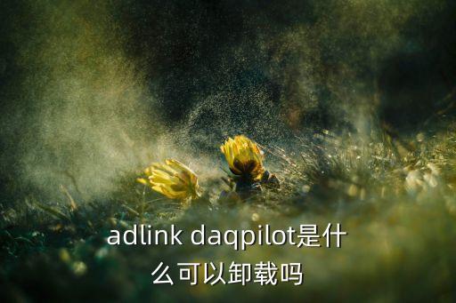 adlink，adlink路由器為何輸入admin沒法顯示呢