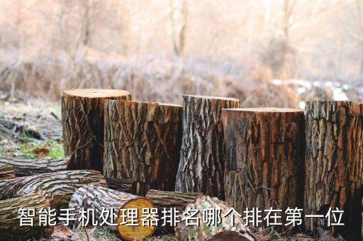 手機芯片排行榜，主流手機芯片排行榜驍龍845和麒麟970誰更強