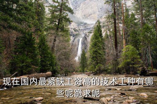 現(xiàn)在國內(nèi)最緊缺工資高的技術(shù)工種有哪些呢跪求呢