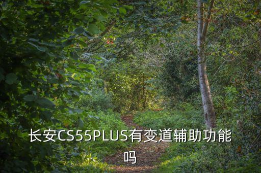 長安CS55PLUS有變道輔助功能嗎