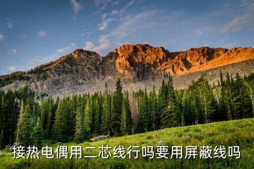 接熱電偶用二芯線行嗎要用屏蔽線嗎