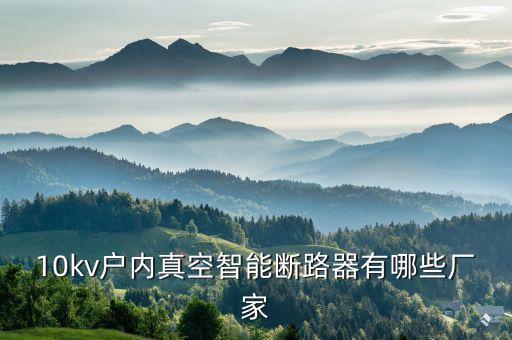 10kv戶內(nèi)真空智能斷路器有哪些廠家