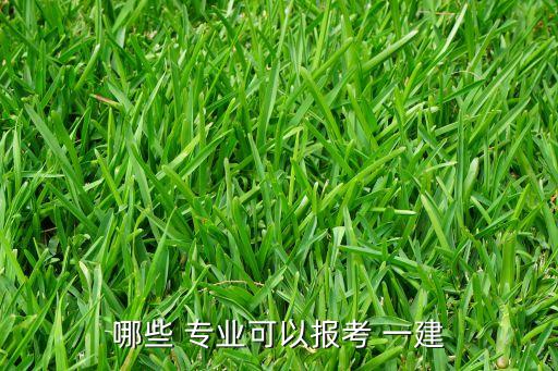 哪些 專業(yè)可以報(bào)考 一建