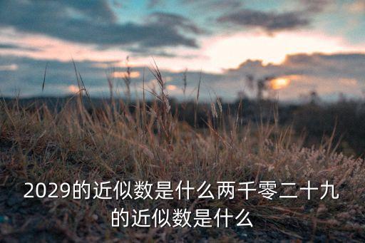 2029，2029的近似數(shù)是什么兩千零二十九的近似數(shù)是什么