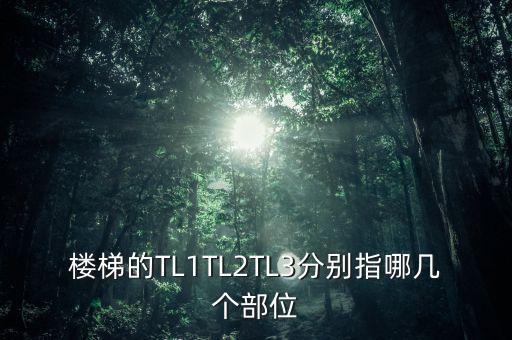 樓梯的TL1TL2TL3分別指哪幾個部位