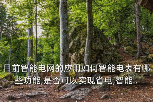 目前智能電網(wǎng)的應(yīng)用如何智能電表有哪些功能,是否可以實現(xiàn)省電,智能...