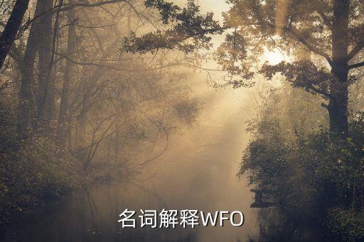 wfo，名詞解釋W(xué)FO