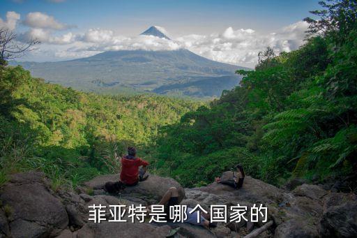 英格爾自動(dòng)化設(shè)備廠家,中國(guó)生產(chǎn)皮卡車(chē)廠商有多少?