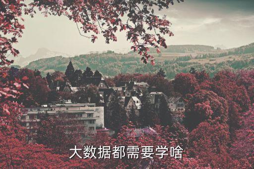 大數(shù)據(jù)技術(shù) google,大數(shù)據(jù)技術(shù)從何玩?