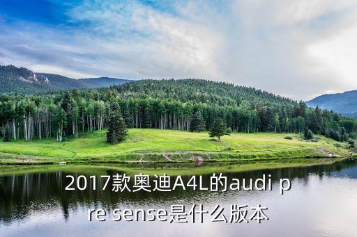 2017款?yuàn)W迪A4L的audi pre sense是什么版本