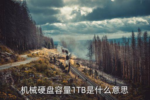機(jī)械硬盤容量1TB是什么意思
