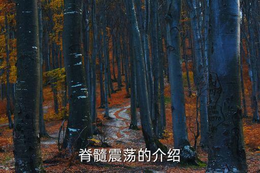 脊髓震蕩的介紹