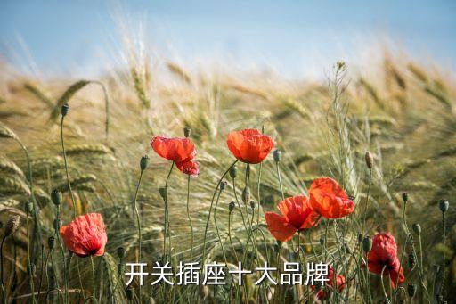 插座十大品牌排名，插座國內(nèi)哪些品牌排行