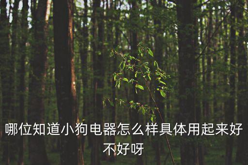 哪位知道小狗電器怎么樣具體用起來好不好呀