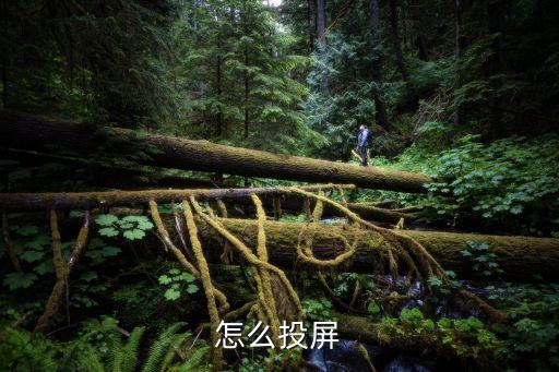 怎么投屏