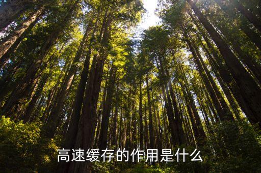 高速緩存的作用是什么
