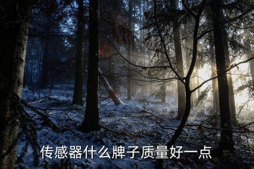 傳感器什么牌子質(zhì)量好一點(diǎn)