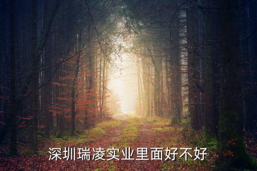 深圳瑞凌實(shí)業(yè)里面好不好