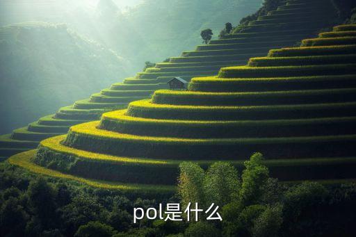 pol，pol是什么