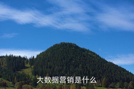 大數(shù)據(jù)營(yíng)銷，幫忙介紹一下什么是大數(shù)據(jù)營(yíng)銷