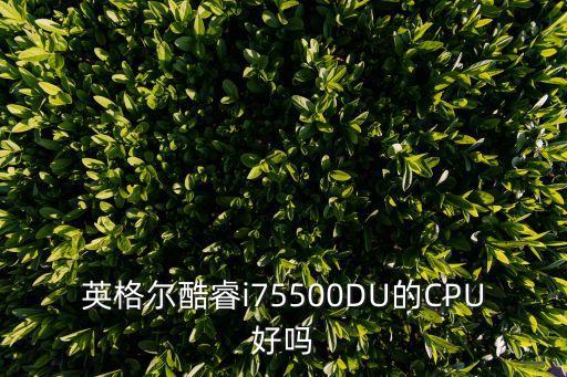 英格爾酷睿i75500DU的CPU好嗎