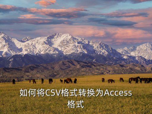 csv文件格式，如何將CSV格式轉(zhuǎn)換為Access格式