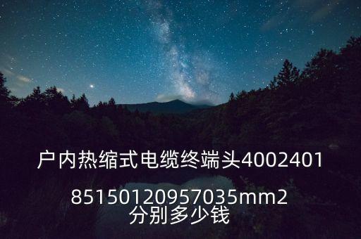 戶內(nèi)熱縮式電纜終端頭400240185150120957035mm2分別多少錢